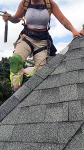 roofing SEO agency